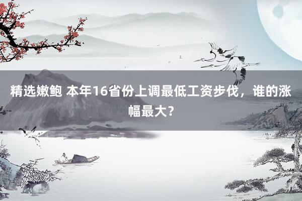 精选嫩鲍 本年16省份上调最低工资步伐，谁的涨幅最大？