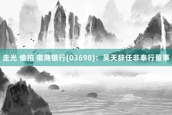 走光 偷拍 徽商银行(03698)：吴天辞任非奉行董事