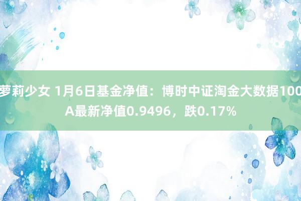 萝莉少女 1月6日基金净值：博时中证淘金大数据100A最新净值0.9496，跌0.17%
