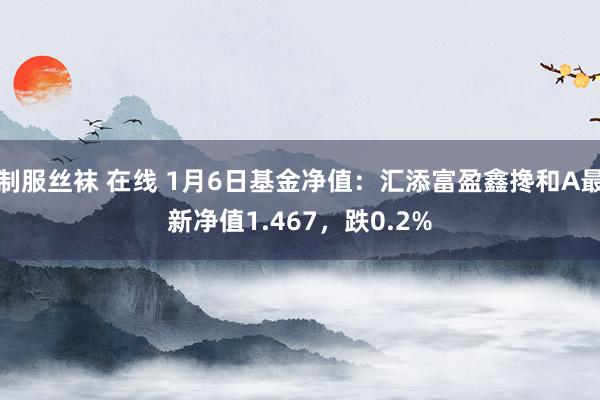 制服丝袜 在线 1月6日基金净值：汇添富盈鑫搀和A最新净值1.467，跌0.2%