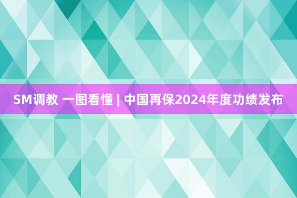 SM调教 一图看懂 | 中国再保2024年度功绩发布