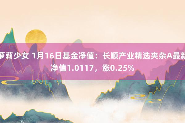 萝莉少女 1月16日基金净值：长顺产业精选夹杂A最新净值1.0117，涨0.25%