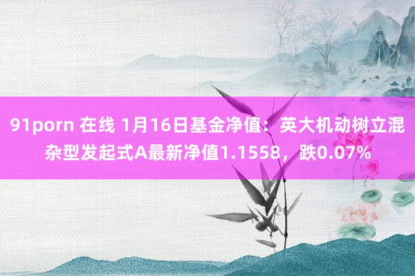 91porn 在线 1月16日基金净值：英大机动树立混杂型发起式A最新净值1.1558，跌0.07%