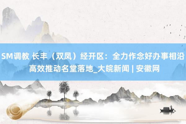SM调教 长丰（双凤）经开区：全力作念好办事相沿 高效推动名堂落地_大皖新闻 | 安徽网