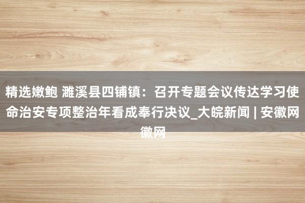 精选嫩鲍 濉溪县四铺镇：召开专题会议传达学习使命治安专项整治年看成奉行决议_大皖新闻 | 安徽网