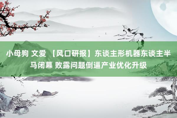 小母狗 文爱 【风口研报】东谈主形机器东谈主半马闭幕 败露问题倒逼产业优化升级