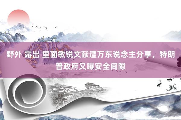 野外 露出 里面敏锐文献遭万东说念主分享，特朗普政府又曝安全间隙