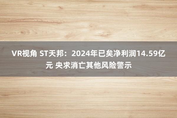VR视角 ST天邦：2024年已矣净利润14.59亿元 央求消亡其他风险警示