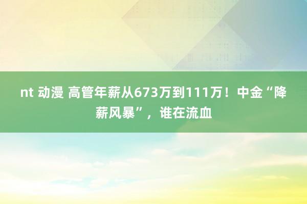 nt 动漫 高管年薪从673万到111万！中金“降薪风暴”，谁在流血