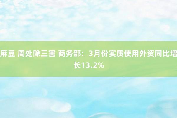 麻豆 周处除三害 商务部：3月份实质使用外资同比增长13.2%