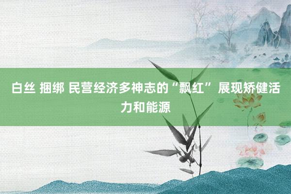 白丝 捆绑 民营经济多神志的“飘红” 展现矫健活力和能源