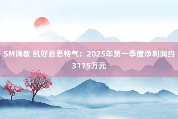 SM调教 凯好意思特气：2025年第一季度净利润约3175万元