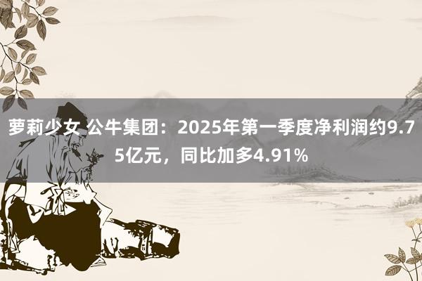 萝莉少女 公牛集团：2025年第一季度净利润约9.75亿元，同比加多4.91%