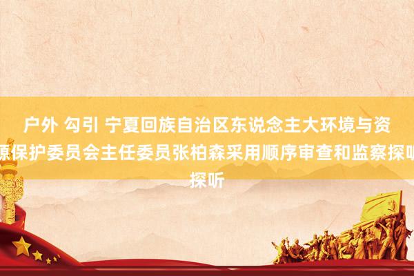 户外 勾引 宁夏回族自治区东说念主大环境与资源保护委员会主任委员张柏森采用顺序审查和监察探听