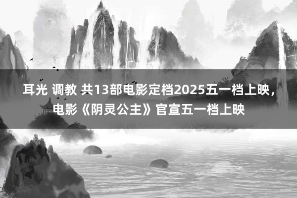 耳光 调教 共13部电影定档2025五一档上映，电影《阴灵公主》官宣五一档上映