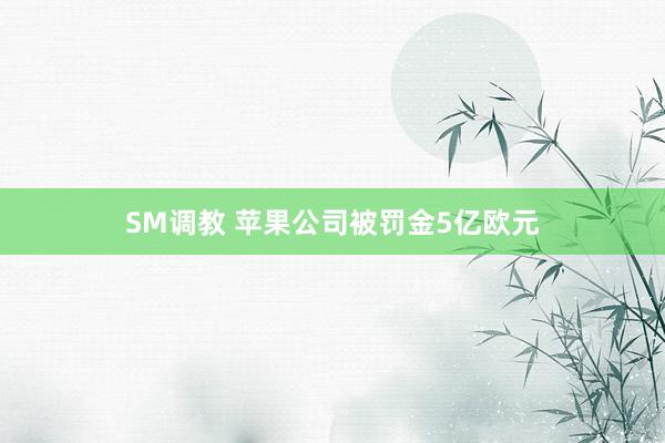 SM调教 苹果公司被罚金5亿欧元