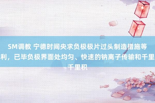 SM调教 宁德时间央求负极极片过头制造措施等专利，已毕负极界面处均匀、快速的钠离子传输和千里积