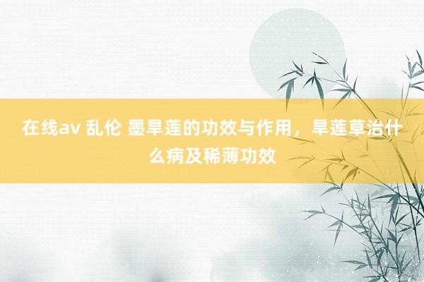 在线av 乱伦 墨旱莲的功效与作用，旱莲草治什么病及稀薄功效