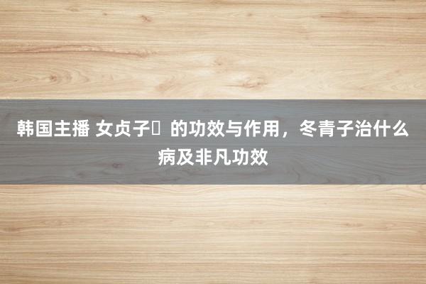 韩国主播 女贞子​的功效与作用，冬青子治什么病及非凡功效